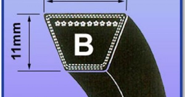 B Section V Belts